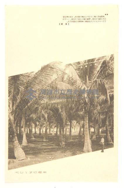 明信片（高雄神社、壽山宮之台、高雄停車場、高雄港岸壁、香蕉碼頭、下淡水溪鐵橋、椰子樹林、高雄的麗觀）藏品圖，第7張