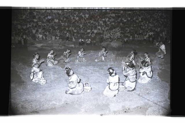 登錄號:KH2002.012.0789藏品圖，第37張