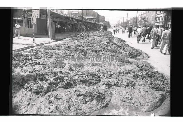 登錄號:KH2002.009.0295藏品圖，第9張