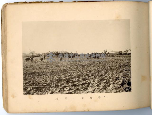 登錄號:KH2003.008.0180藏品圖，第28張