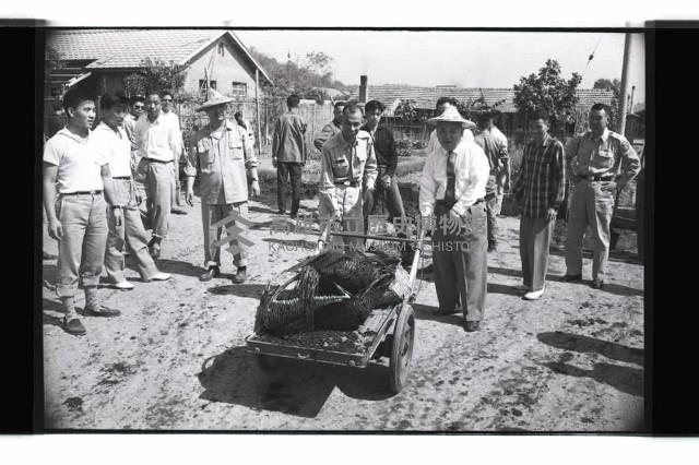 登錄號:KH2002.009.0295藏品圖，第8張