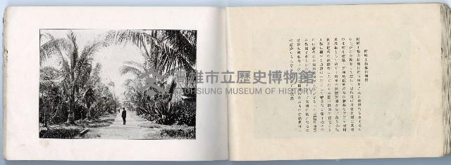 登錄號:KH2003.008.0182藏品圖，第38張