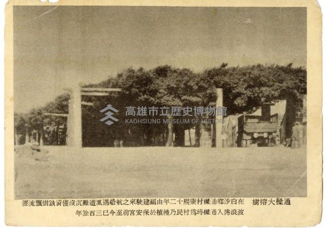 登錄號:KH2006.028.0008藏品圖，第216張