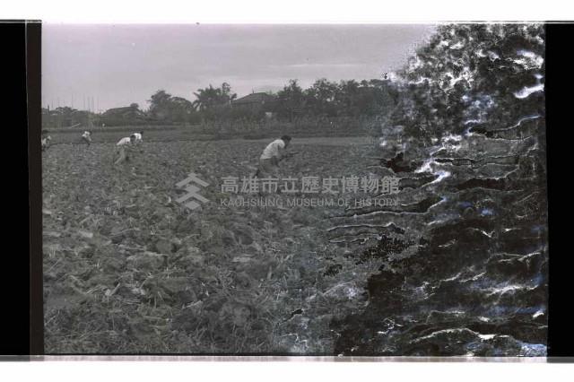 登錄號:KH2002.019.0197藏品圖，第6張