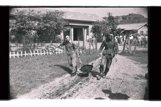 登錄號:KH2002.009.0295藏品圖，第6張