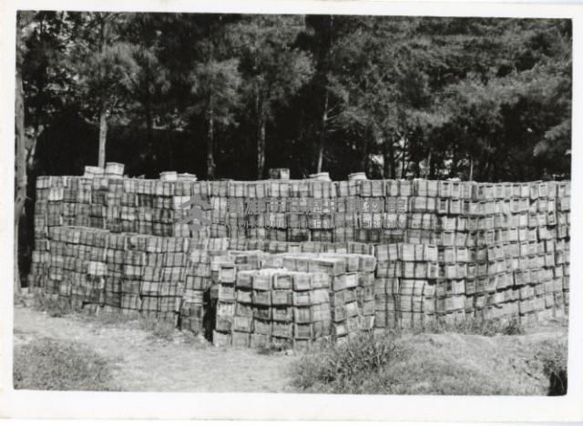 登錄號:KH2006.028.0004藏品圖，第206張