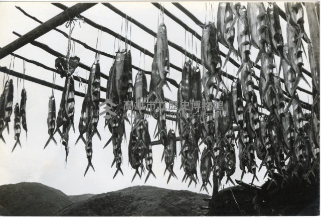 登錄號:KH2006.028.0007藏品圖，第6張