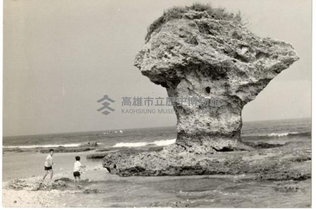 登錄號:KH2006.028.0008藏品圖，第242張