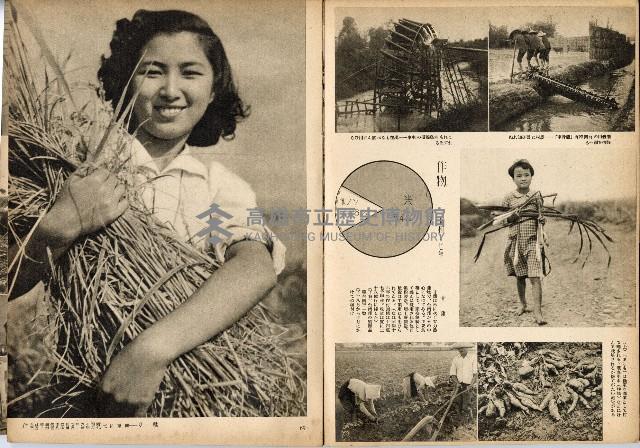 《南方の據點・臺灣寫真報道》藏品圖，第44張