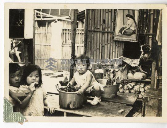 登錄號:KH2006.028.0009藏品圖，第172張