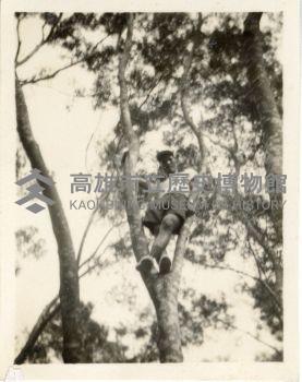 登錄號:KH2006.028.0018藏品圖，第352張