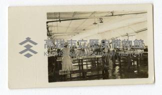 登錄號:KH2003.008.0095藏品圖，第12張