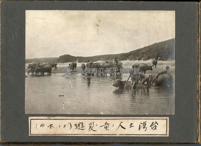 登錄號:KH2003.008.0126藏品圖，第12張