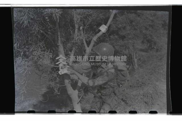 登錄號:KH2002.019.0013藏品圖，第12張