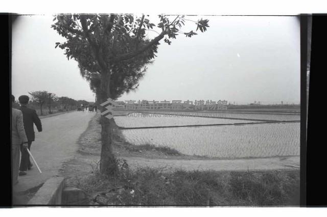 登錄號:KH2002.010.0087藏品圖，第2張