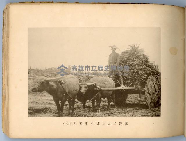 登錄號:KH2003.008.0180藏品圖，第32張