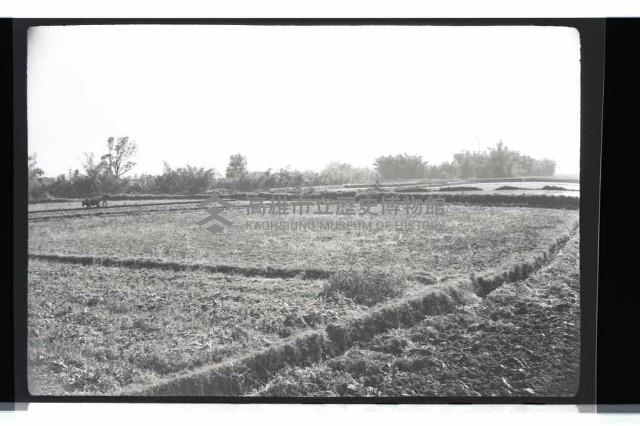 登錄號:KH2002.010.0088藏品圖，第20張