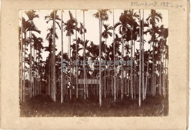 登錄號:KH2003.008.0185藏品圖，第21張