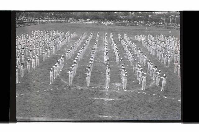 登錄號:KH2002.019.0231藏品圖，第20張