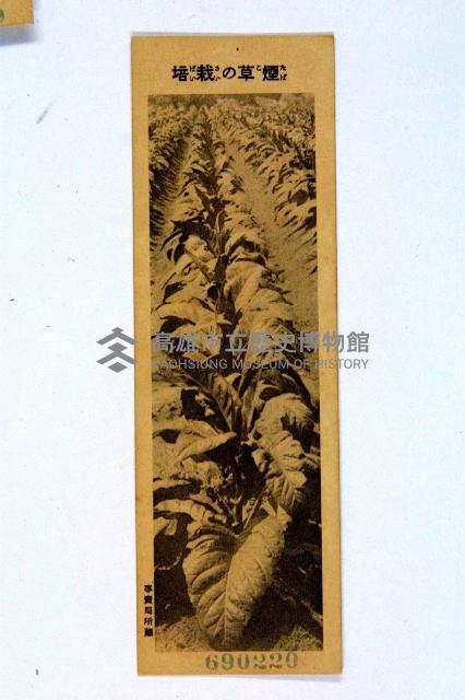 登錄號:KH2003.003.0086藏品圖，第81張