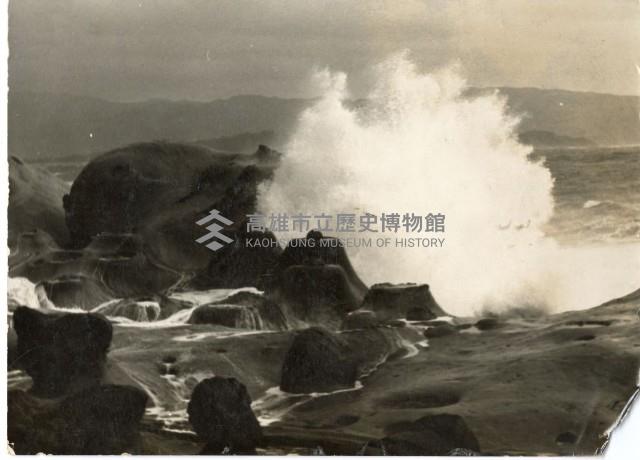 登錄號:KH2006.028.0008藏品圖，第210張