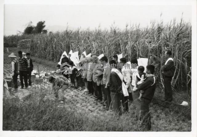 登錄號:KH2006.028.0011藏品圖，第10張