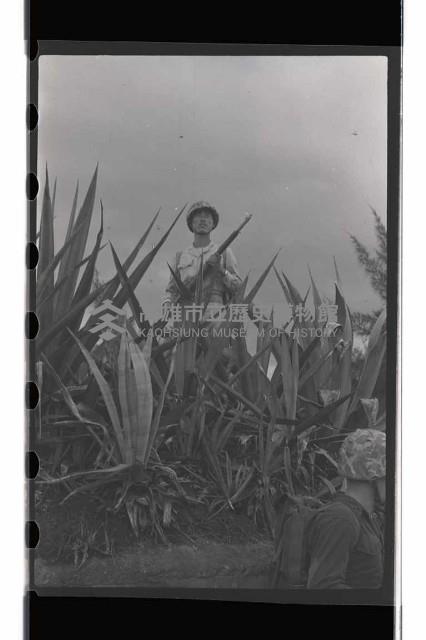 登錄號:KH2002.019.0036藏品圖，第30張