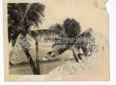 登錄號:KH2006.028.0009藏品圖，第221張