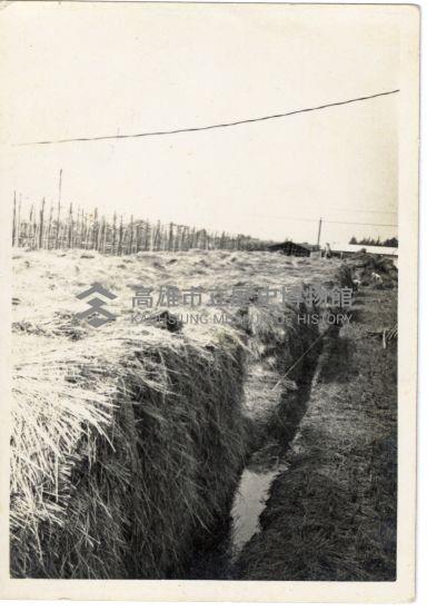 登錄號:KH2006.028.0018藏品圖，第21張