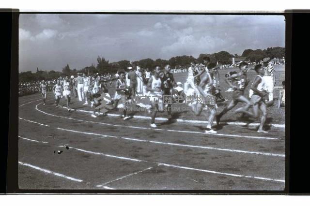 登錄號:KH2002.019.0238藏品圖，第21張