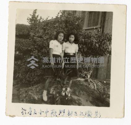 登錄號:KH2006.028.0009藏品圖，第241張