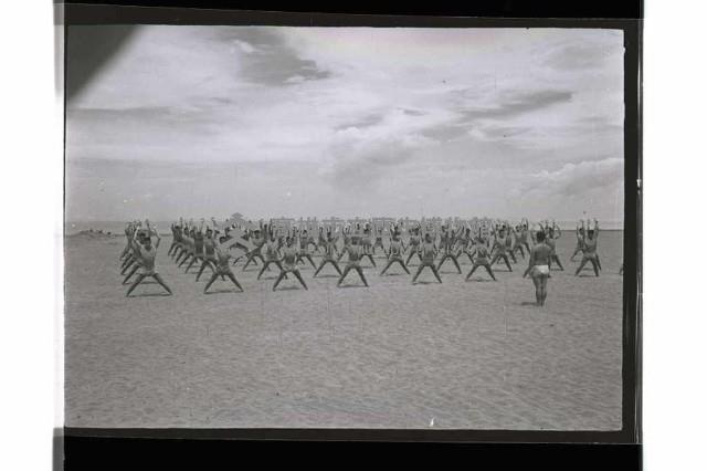 登錄號:KH2002.019.0219藏品圖，第41張