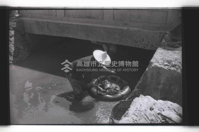 登錄號:KH2002.009.0295藏品圖，第11張