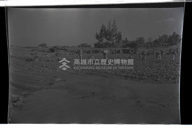 登錄號:KH2002.019.0008藏品圖，第11張