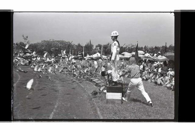 登錄號:KH2002.019.0231藏品圖，第11張