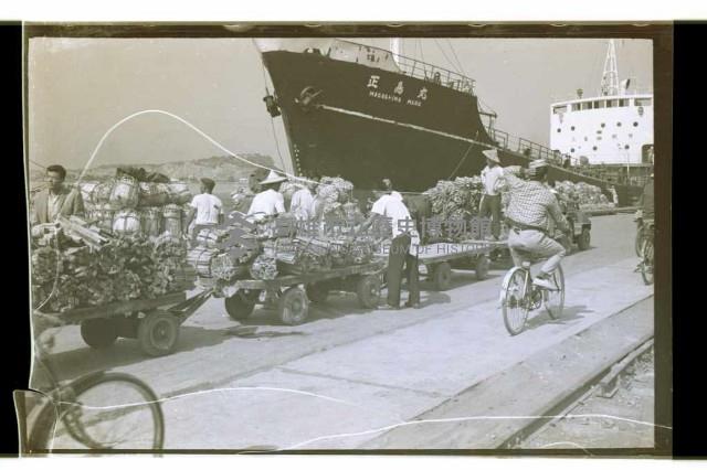 登錄號:KH2002.008.0009藏品圖，第11張