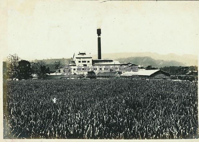 登錄號:KH2003.008.0179藏品圖，第11張