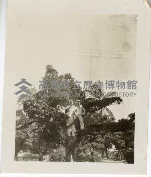 登錄號:KH2006.028.0018藏品圖，第201張