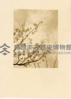 登錄號:KH2006.028.0018藏品圖，第101張