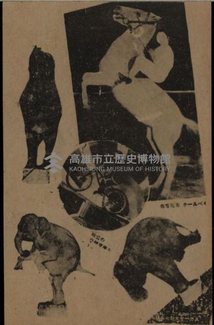 登錄號:KH2003.003.0080藏品圖，第1張