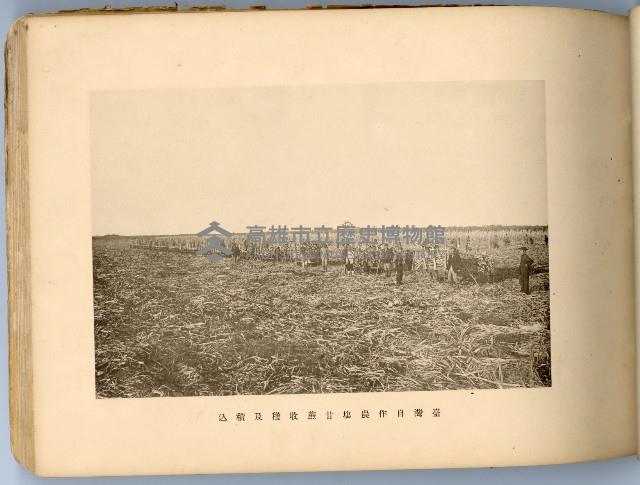 登錄號:KH2003.008.0180藏品圖，第31張