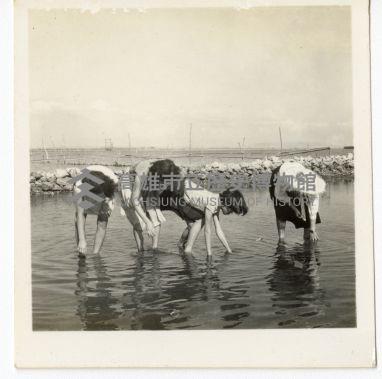 登錄號:KH2006.028.0009藏品圖，第131張