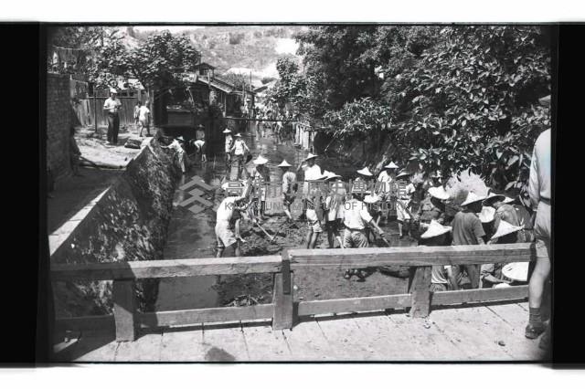 登錄號:KH2002.009.0295藏品圖，第15張