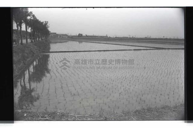 登錄號:KH2002.010.0087藏品圖，第5張