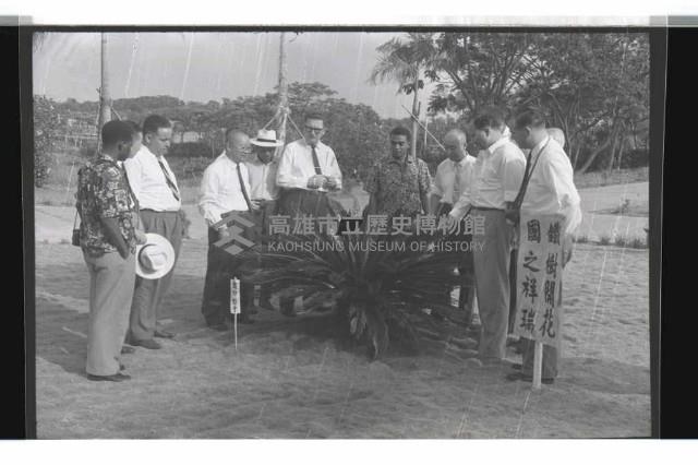 登錄號:KH2002.018.0097藏品圖，第35張