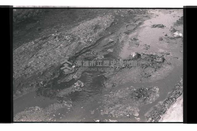 登錄號:KH2002.009.0295藏品圖，第24張