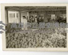 登錄號:KH2003.008.0095藏品圖，第4張