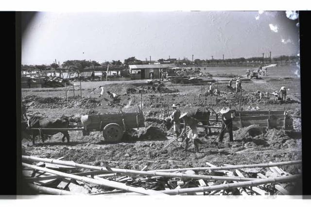 登錄號:KH2002.010.0097藏品圖，第4張