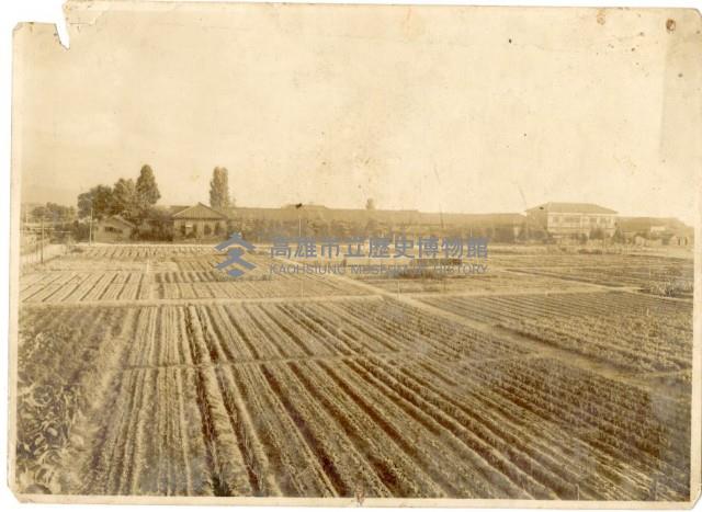 登錄號:KH2006.028.0006藏品圖，第34張