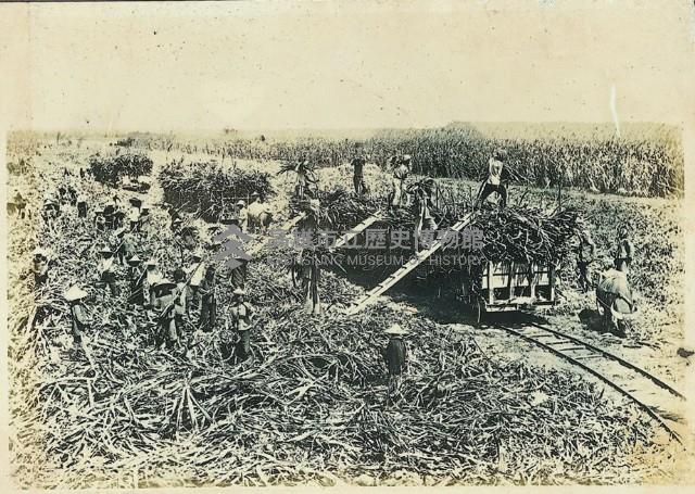 登錄號:KH2003.008.0179藏品圖，第49張